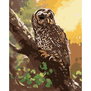 zuty Zuty - Malování Podle Čísel - Sova Na Stromě (D. Rusty Rust), 80X100 Cm, Plátno