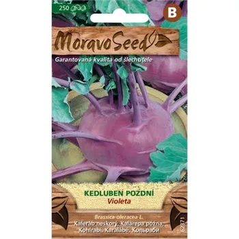 Semeno Kedluben pozdní VIOLETA, modrý 62371