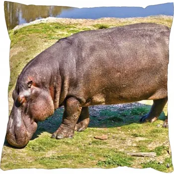 Povlak na polštářek Povlak na polštářek 40x40 Hroch