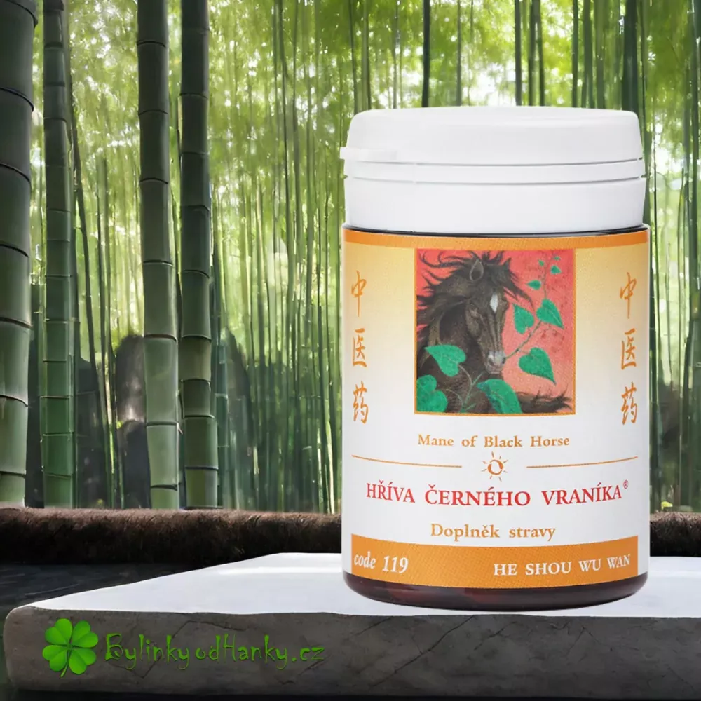 TCM HERBS HŘÍVA ČERNÉHO VRANÍKA 100 tablet (HE SHOU WU WAN)