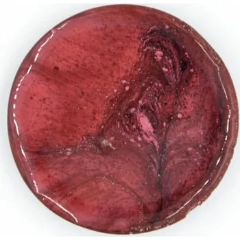 Speciální výtvarná barva GPUR Perleťový Pigment, ČERVENÁ BORDÓ, 1 Kg