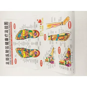 Mapa Akupunkturních bodů Chodidla - 46 x 66cm