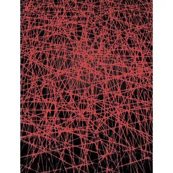 Alpina Čáry na červené - červený rub