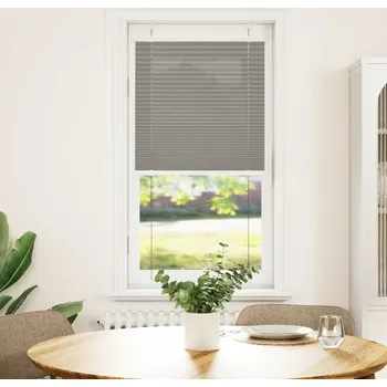 Stavební výplň vidaXL Plisovaná roleta 55x100 cm Šířka látky 54,4 cm Polyester [4015168] Barva: antracitová