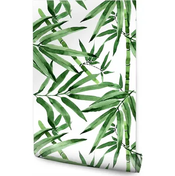 Fototapeta Tapeta zelený bambusový les s listy do obýváku