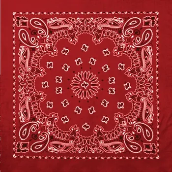 Šátek Šátek 55 x 55 cm TRAINMEN ČERVENÝ / BÍLÝ (Šátek 55 x 55 cm TRAINMEN ČERVENÝ / BÍLÝ)