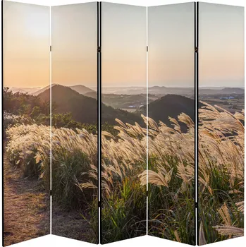 Paraván Paraván závěs kadeřnický salon pokojová stěna 225 x 172 cm barva