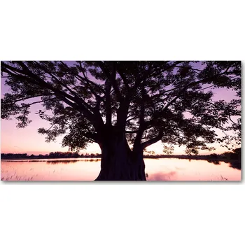 Obraz Kuchyňský panel Strom a jezero 140x70 cm + LEPIDLO