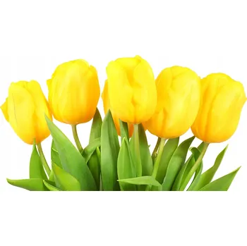 Obraz Kuchyňský panel Žluté tulipány 100x50 cm + LEPIDLO