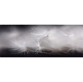 Obraz Lacobel pod skříňky do kuchyně Semena pampelišky XXL