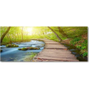 Obraz Lacobel sklo s fotopotiskem Cesta v lese XXL