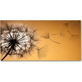 Obraz Ochranný panel Pampeliška 120x60 cm + LEPIDLO