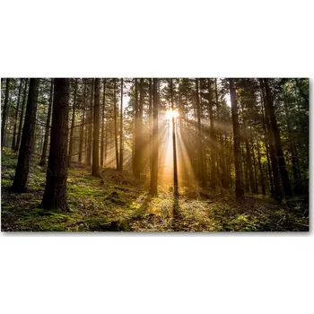 Obraz Kuchyňský panel Sluneční světlo 120x60 cm + LEPIDLO