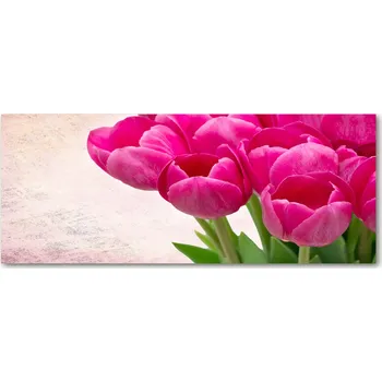 Obraz Lacobel sklo s fotopotiskem Růžové tulipány XXL
