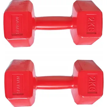 Sada činek SPARTAN 2 x 2 kg