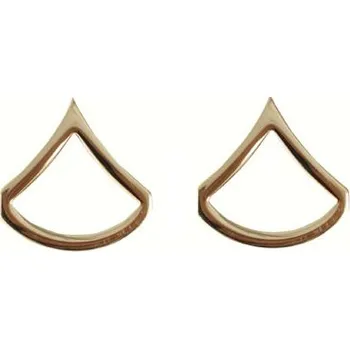 Odznak hodnosti PRIVATE FIRST CLASS POLISHED ZLATÝ (Odznak hodnosti PRIVATE FIRST CLASS POLISHED ZLATÝ)