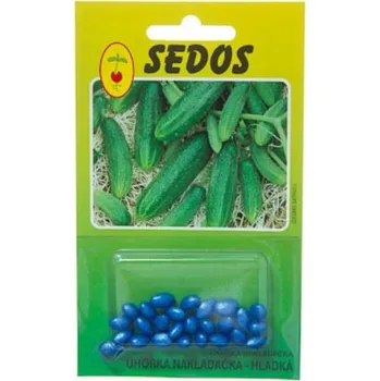 Semeno Bestent Okurka setá nakládačka hladká 25 ks