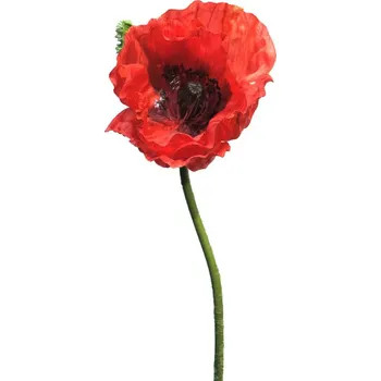 umělá květina Umělá květina Mák - Papaver 'Nudicaule' červený, otevřený květ 70 cm