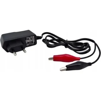 IP kamera Nabíječka akumulátorů 12V 2A s krokosvorkami 24W