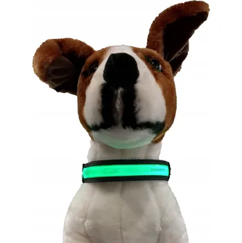 Obojek pro psa Svítící látkový obojek pro psa Nunbell, velikost L