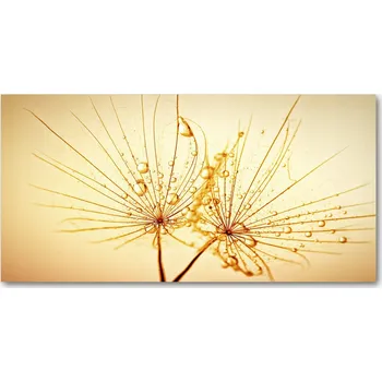 Obraz Kuchyňský panel Semena pampelišky 140x70 cm + LEPIDLO