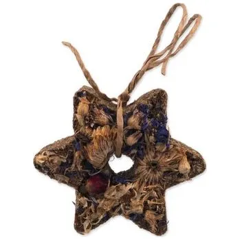 Krmivo pro hlodavce Pochoutka Nature Land Brunch bylinková hvězda 80g