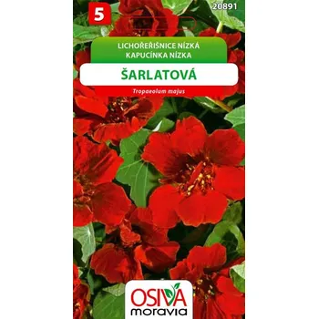 Semeno Osiva Moravia Lichořeřišnice nízká šarlatová 10 ks