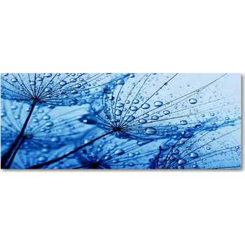 Obraz Lacobel pod skříňky do kuchyně Semena pampelišky XXL