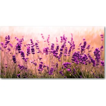 Obraz Skleněný panel do kuchyně Levandule 100x50 cm + LEPIDLO