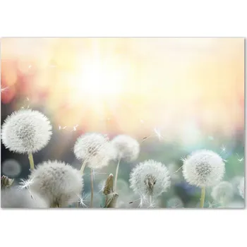 Obraz Skleněný panel 70 x 100 x 4 mm tvrzené sklo broušené bílý