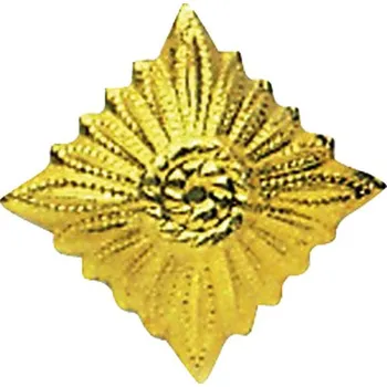 Odznak hodnostní NVA hvězda GOLD - ZLATÁ (Odznak hodnostní NVA hvězda GOLD - ZLATÁ)