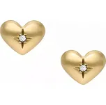 Náušnice Fossil Sadie JF04832710