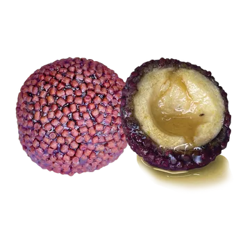 Boilies LK Baits Nutrigo Pellets Chilli Halibut, 250ml, 24mm