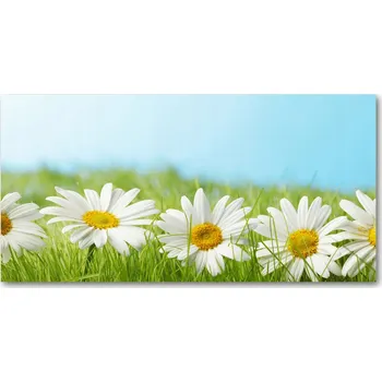 Obraz Kuchyňský panel mezi skříňky Stokrotki 140x70 + lepidlo