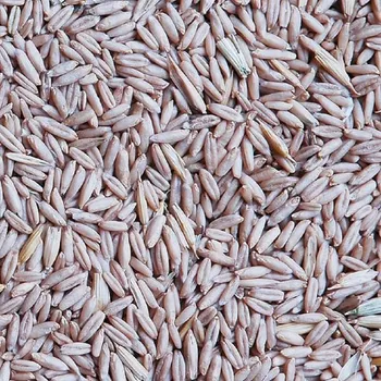 Krmítko pro ptáka Štefek Daniel Oves loupaný 25kg