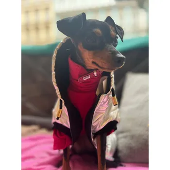 Obleček pro psa Dogi digi Bunda SILVER - šití na míru Velikost: XS