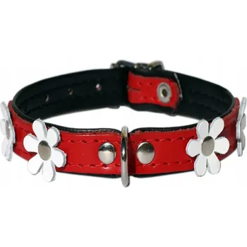 Obojek pro psa Kožený obojek pro psa