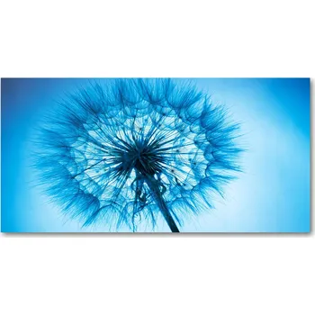 Obraz Ochranný panel Pampeliška 120x60 cm + LEPIDLO