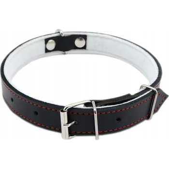 Obojek pro psa Kožený obojek pro psa AQQ vel. L/XL