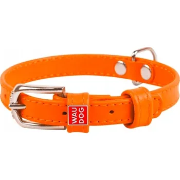 Obojek pro psa Kožený obojek pro psa WAUDOG COLLAR vel. XS