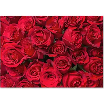 Obraz Skleněný panel 70 x 100 x 4 mm tvrzené sklo broušené červený