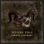 Jethro Tull - Curious Ruminant (CD, 19802861882)