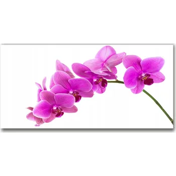Obraz Kuchyňský panel Růžová orchidej 140x70 cm + LEPIDLO