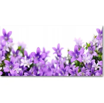 Obraz Kuchyňský panel Fialové zvonky 120x60 cm + LEPIDLO