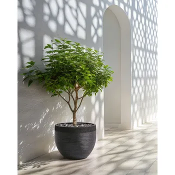 Květináč Květináč černý 50x50x39 cm Kulatý hlína skleněná vlna květináč odolný proti povětrnostním vlivům Beliani