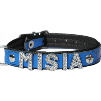 Obraz Kožený obojek pro psa