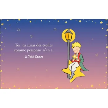 prostírání Prostírání STA07G17 MALÝ PRINC KIUB