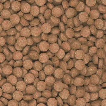 Krmivo pro rybičky Tropical Supervit Tablets B Krmivo Tablety 100 g pro akvarijní ryby