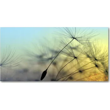 Obraz Kuchyňský panel Pampelišková semínka 120x60 cm + LEPIDLO