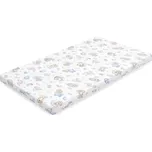 Dětská pěnová matrace New Baby STANDARD 120x60x6 cm koala modrá - SLEVA 3% s kodem radost25